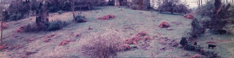 ジョエル・スタンフェルド クロモジェニックプリント サイン 《Meadowview, Virginia, 1983》