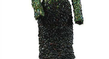 ヤン・ファーブル タマムシ,ワイヤー 《MUR DE LA MONTÉE DES ANGES