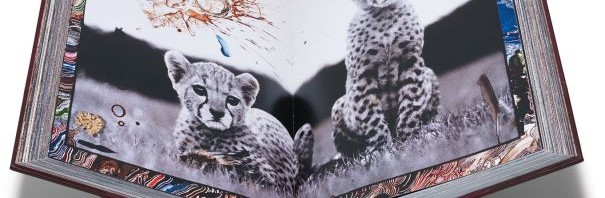 ピーター・ビアード ハードカバーの本 サイン 限定2500 《Peter